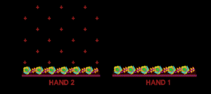 sm 012 (1) sm 012 (1)